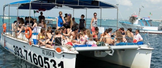 Boat Excursions